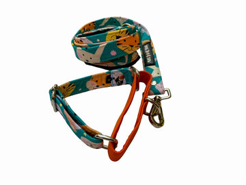 Teal Animal Print Martingale Leash Combo
