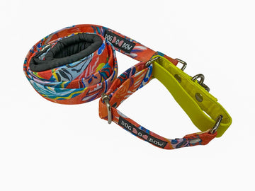 Red Hawaii Martingale Leash Combo