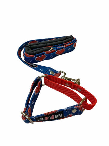 Hearty Blue Print Martingale Leash Combo