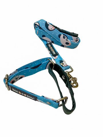 Panda Print Martingale Leash Combo