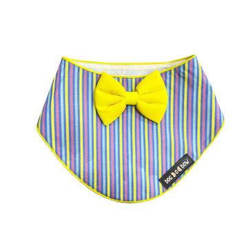 Aqua Stripe Bandana