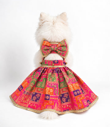 Pookie Patola Dress