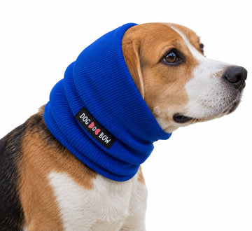Royal Blue Pet Ear Muff