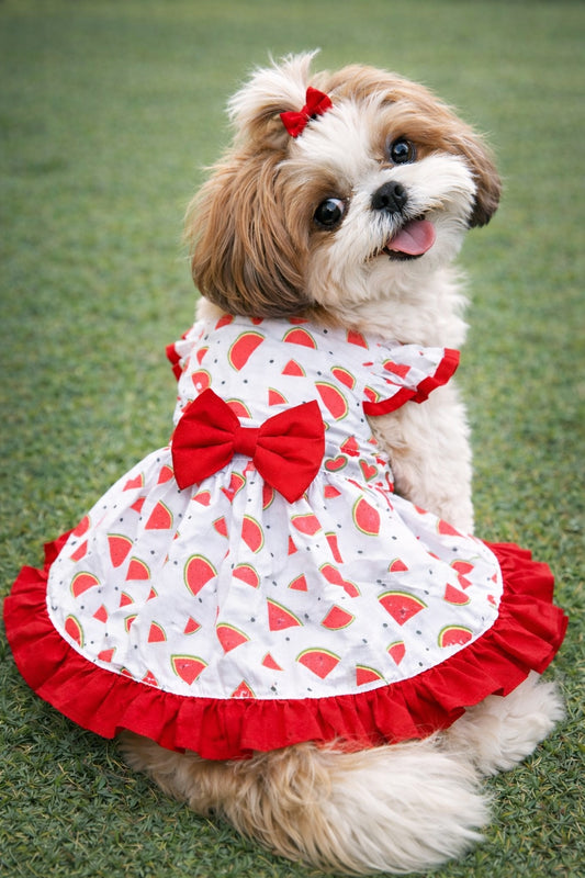 Watermelon Dress