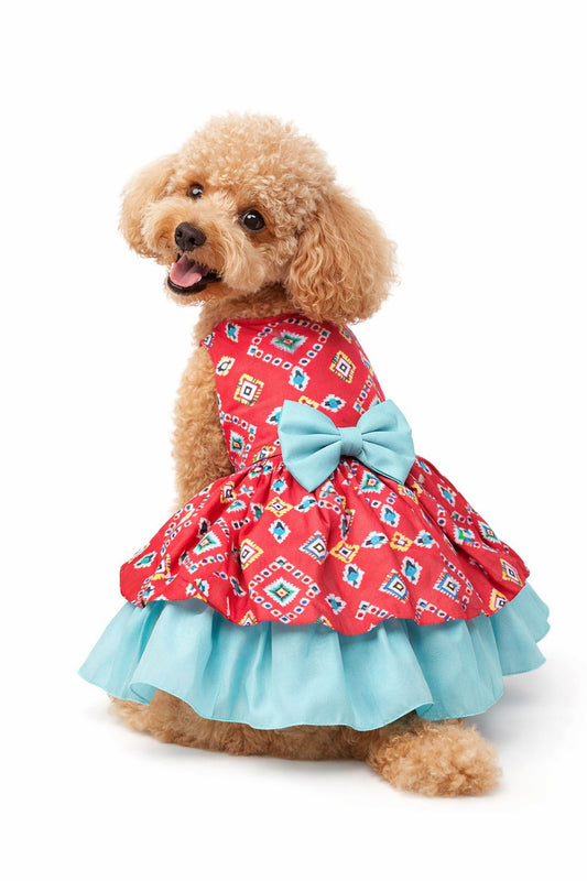 Pink-Teal Layer dress