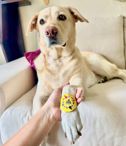 Family's Favourite Pet Rakhi