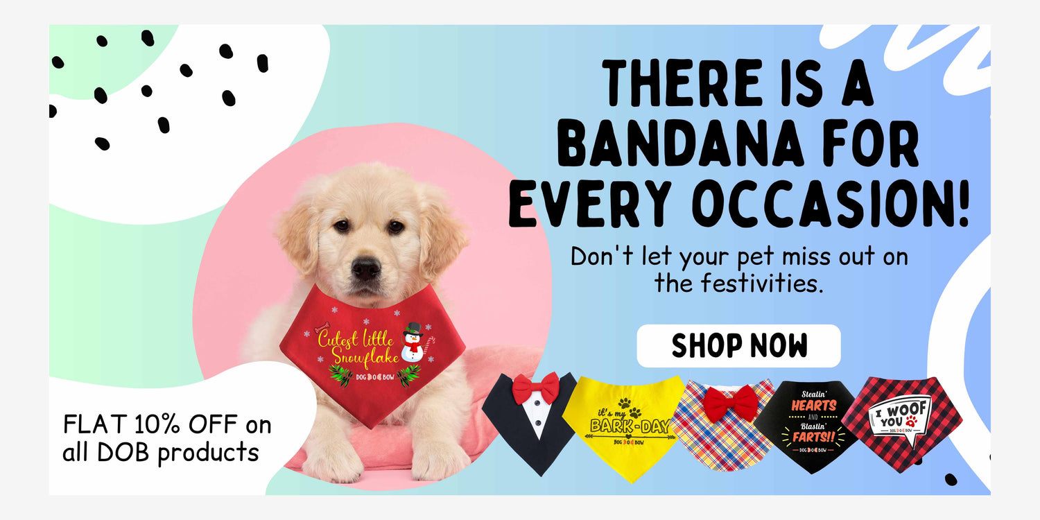 Buy Dog Lv Shirt online