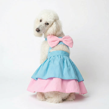 Blue Buttercup Dress