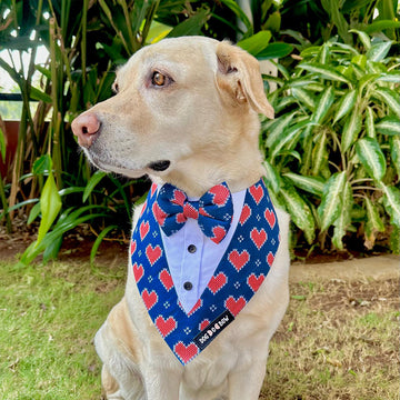 Hearty Blue Printed Tuxedo Bandana