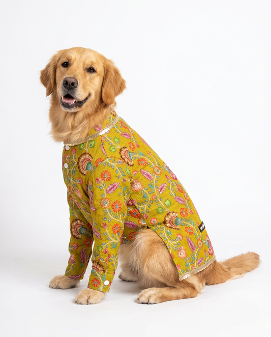 Lookin like a Snack Kurta