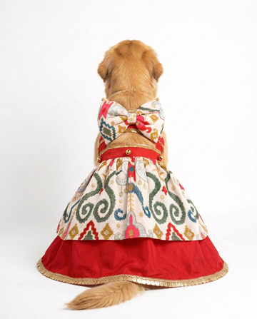 Roop ki Rani Dress