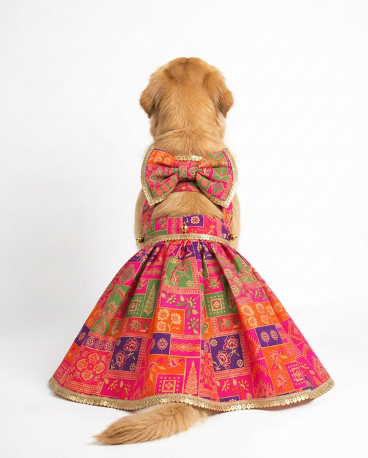 Pookie Patola Dress