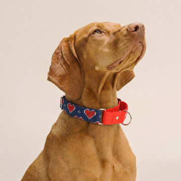 Hearty print Martingale Collar (1.5 inch width)