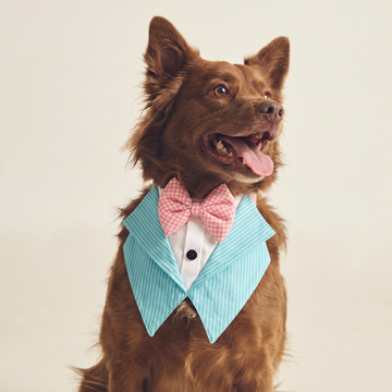 Aqua strip Tuxedo Vest Bandana