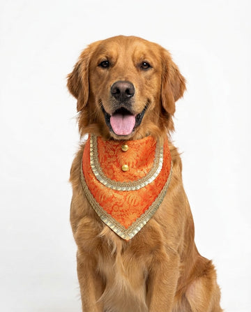 Narangi Traditional Bandana