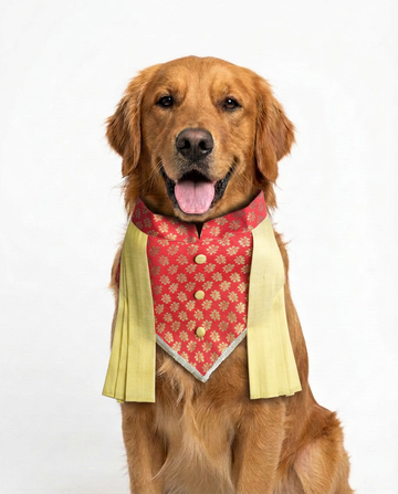 Rajkumar Traditional Bandana