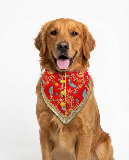 Phulwari Sherwani Bandana