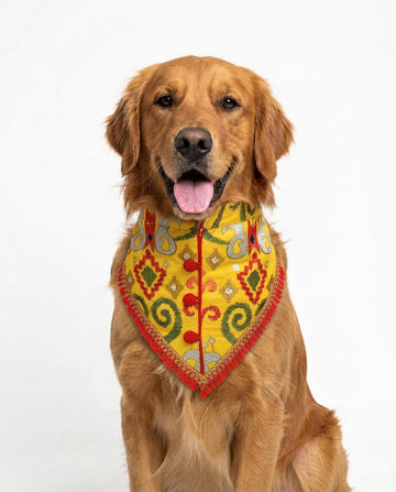 Peela Pataka Sherwani Bandana