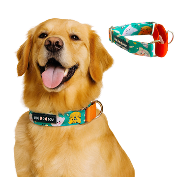 Teal Animal Print Martingale Collar LARGE