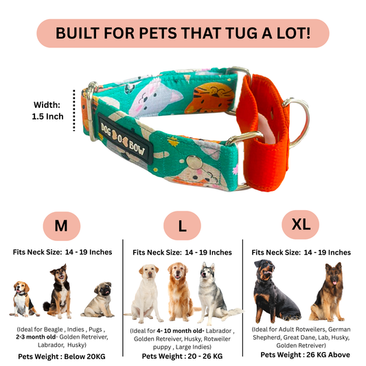 Teal Animal Print Martingale Collar LARGE