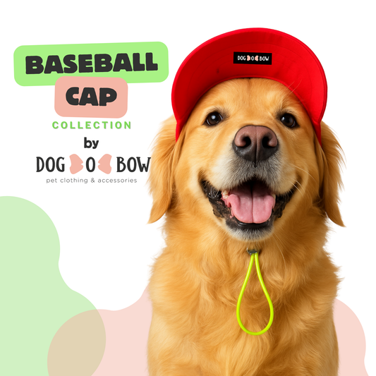 Red Baseball Cap