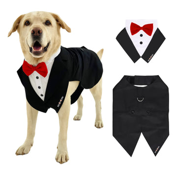 Black Tuxedo Suit