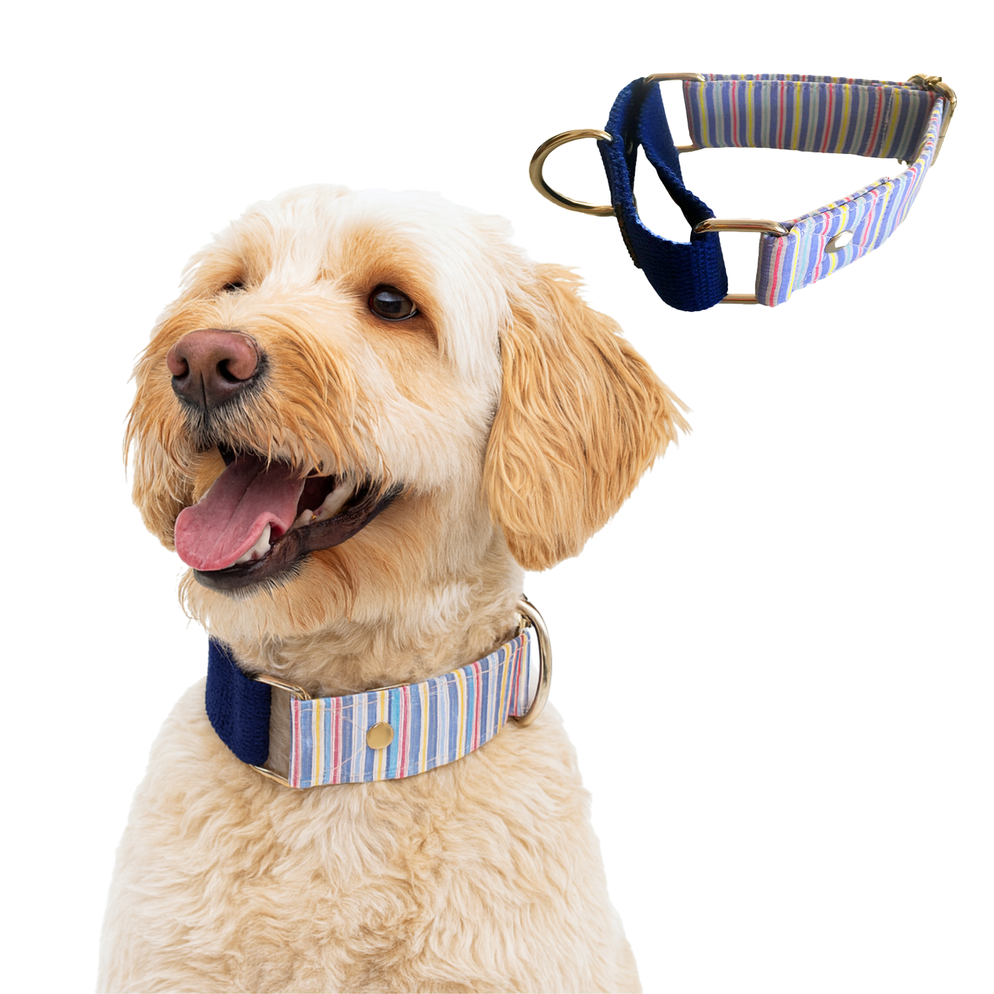 Wire Stripe Martingale Collar