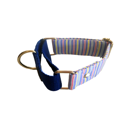 Wire Stripe Martingale Collar