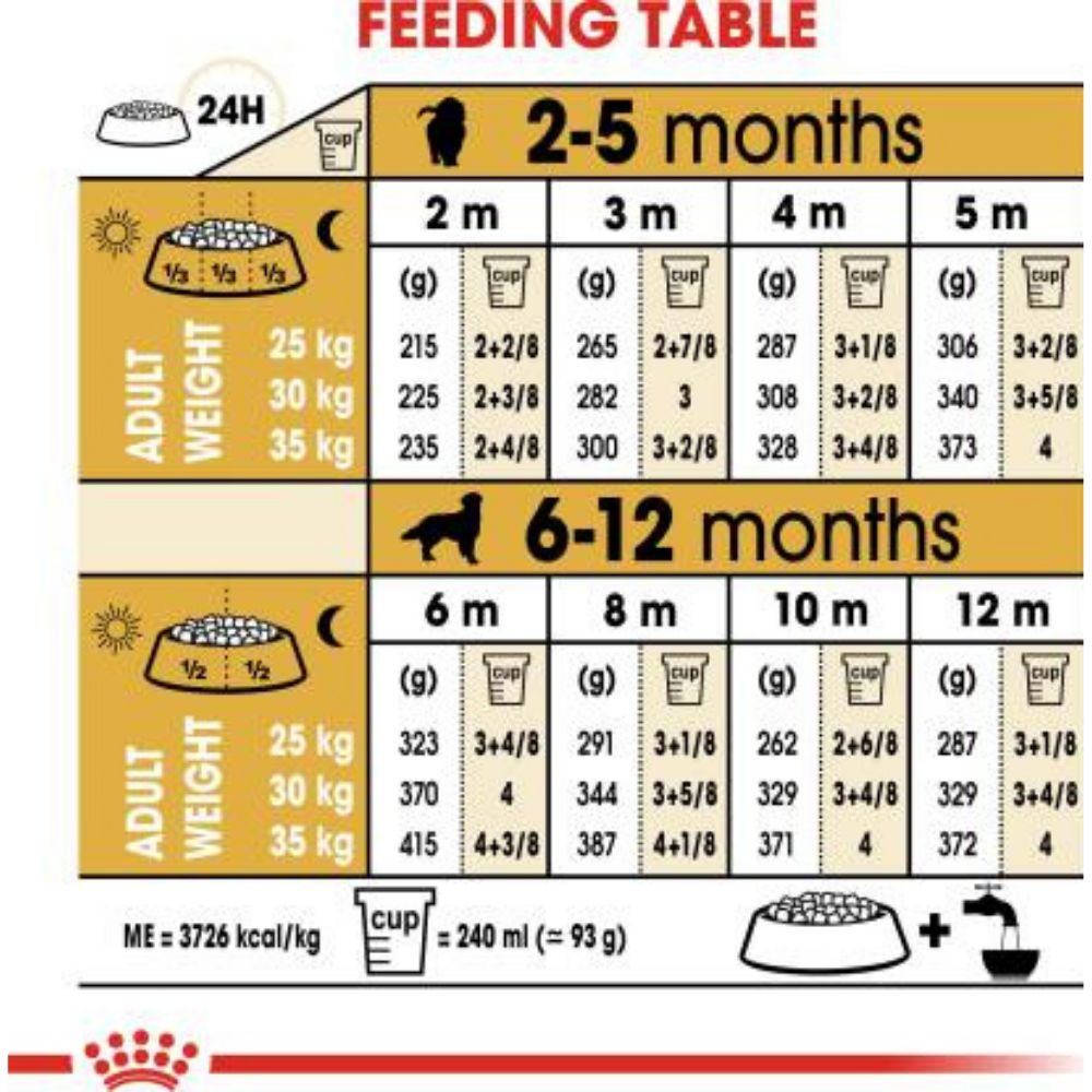 Golden retriever hotsell puppy diet chart