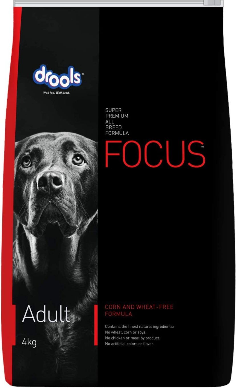 Drools Focus Adult 4 Kg