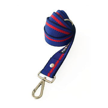 Blue Stripe Leash