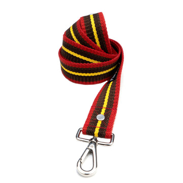 Brown Stripe Leash