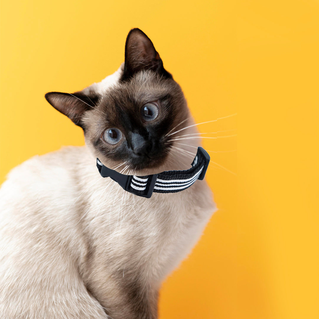 BNW Stripe Cat Collar