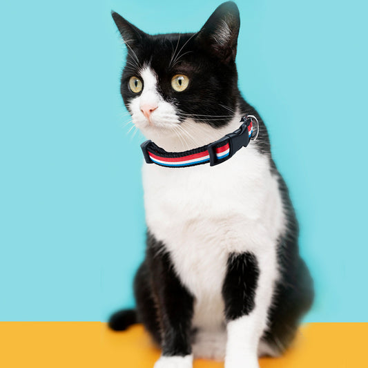 Flag Print Cat Collar