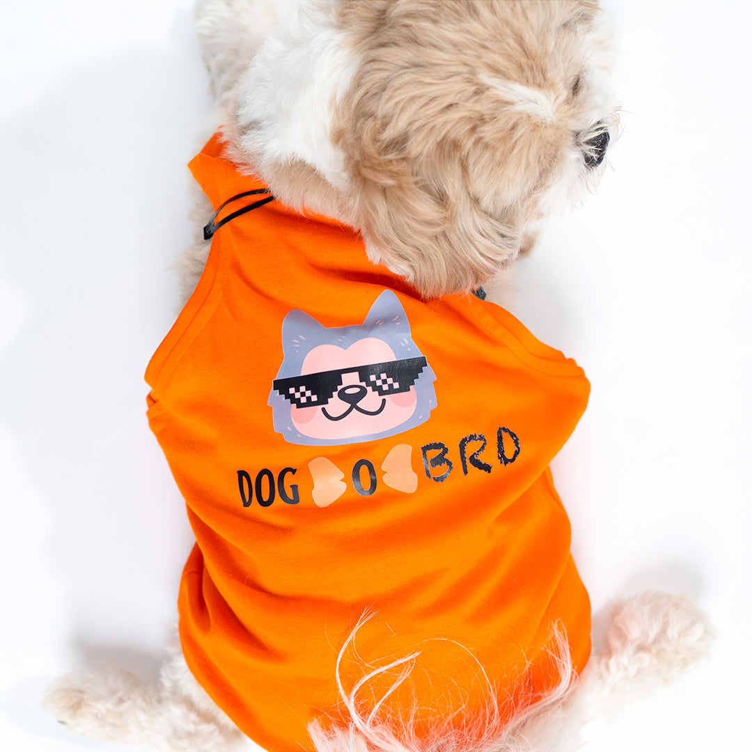 Orange Dog-O-Bro Ganji