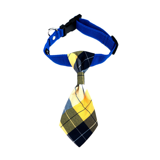 Divider Check Neck Tie Collar