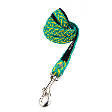 Green-Yellow Braid Leash