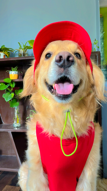 Red Baseball Cap