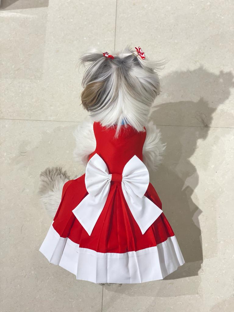 Girl dog christmas on sale outfits