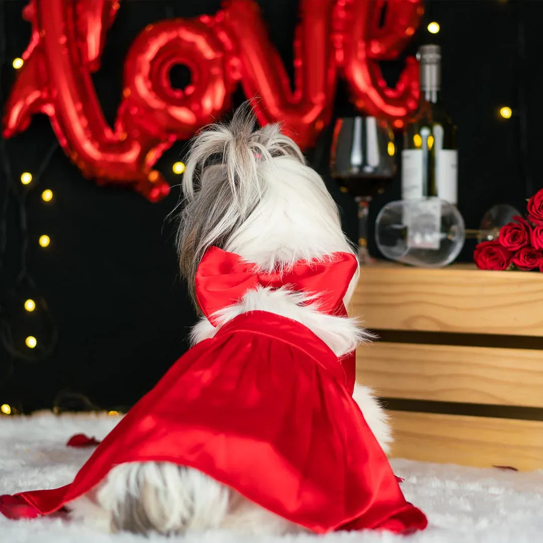 red dog dress Fancy Little Red Dress For your Pup