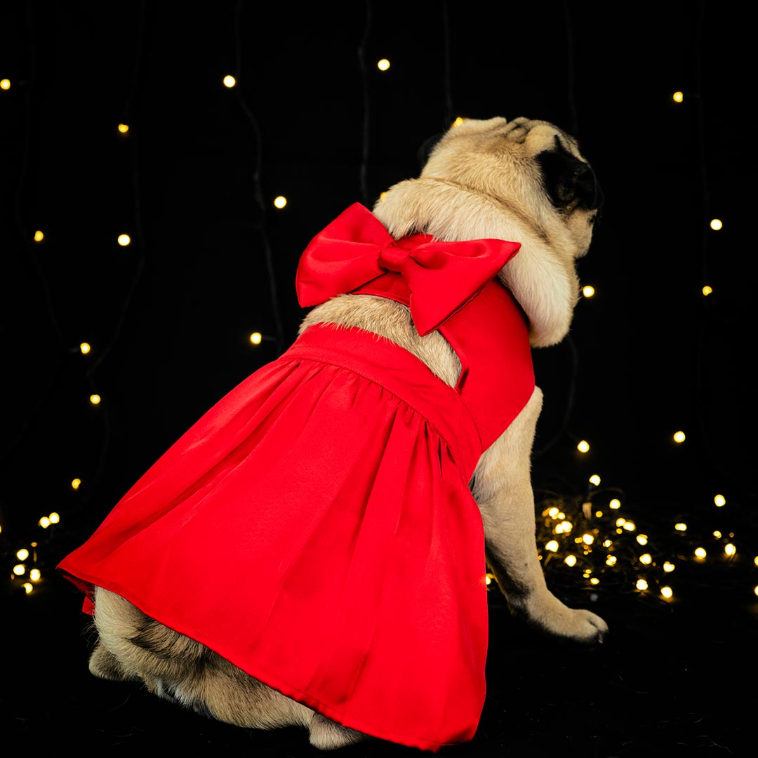 Fancy Little Red Dress For your Pup Buy Dog Frock Online