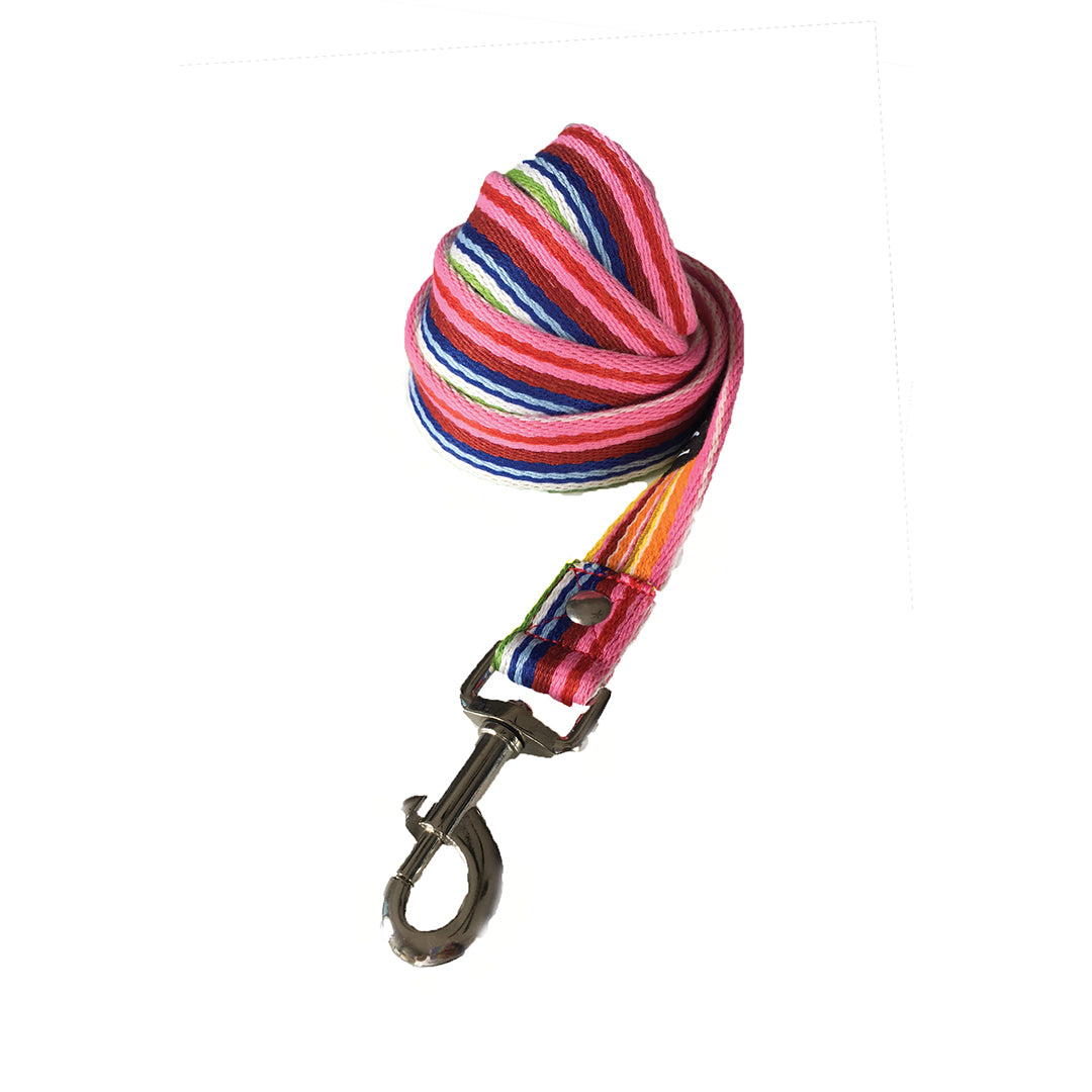 Pink Rainbow Leash