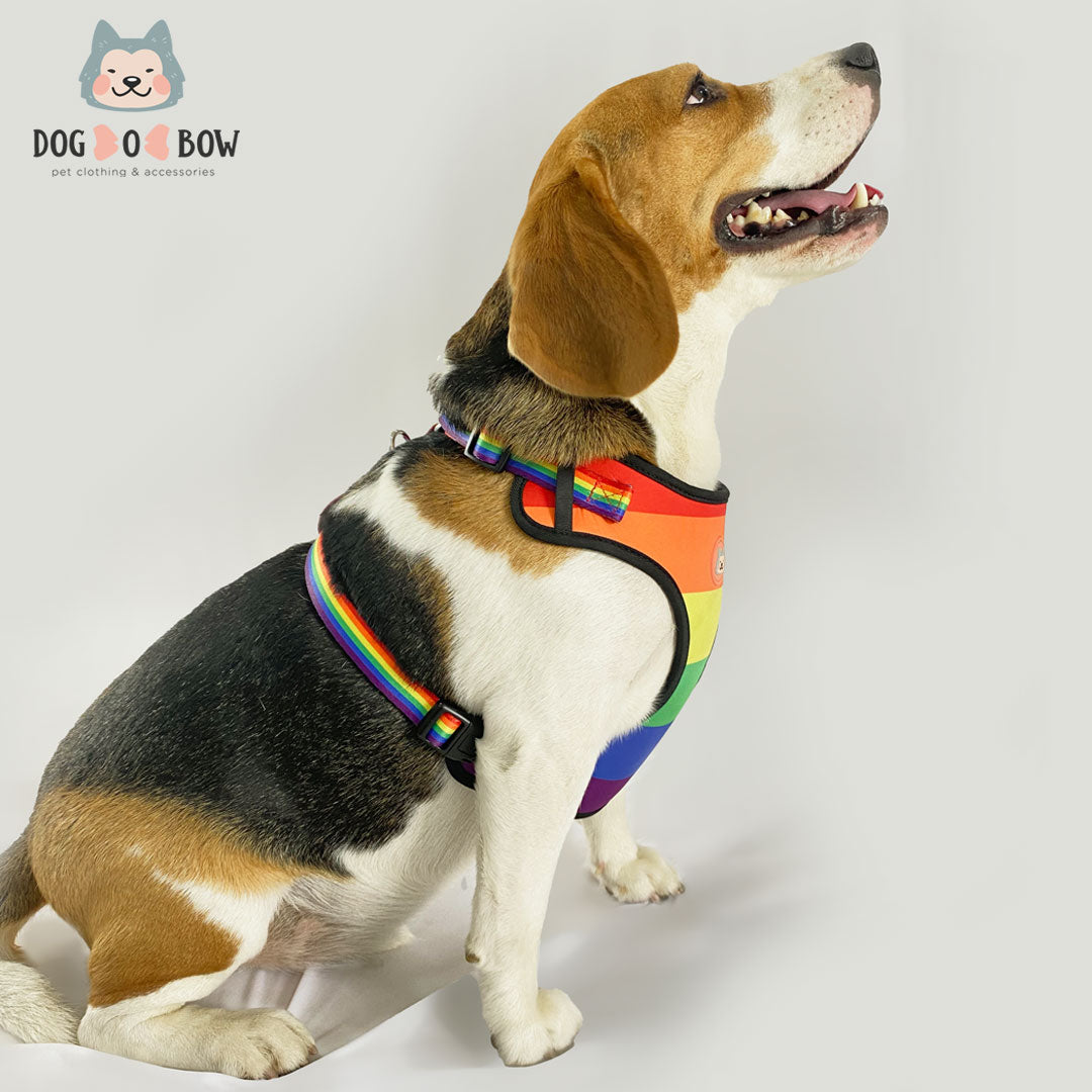 Dog Harness Beagle Dog Collar Pride Print Mesh Harness