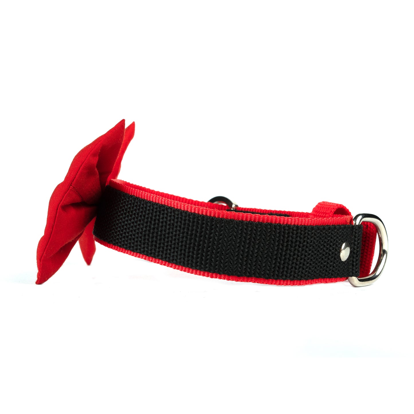 Red Bow Collar