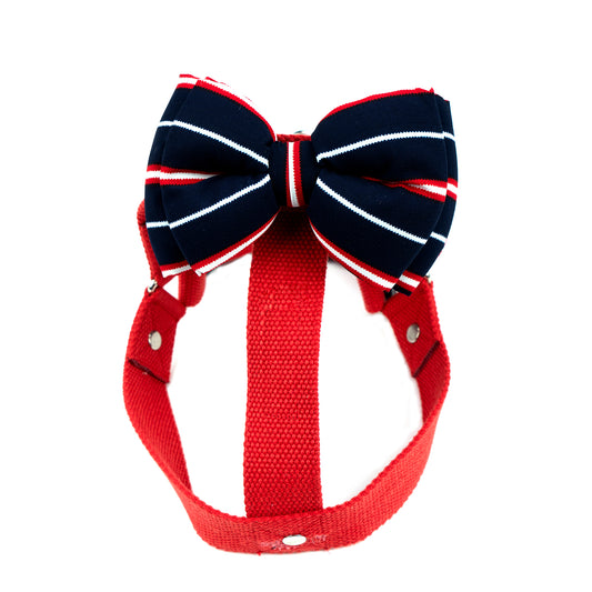 Red Step-in Harness with Bow