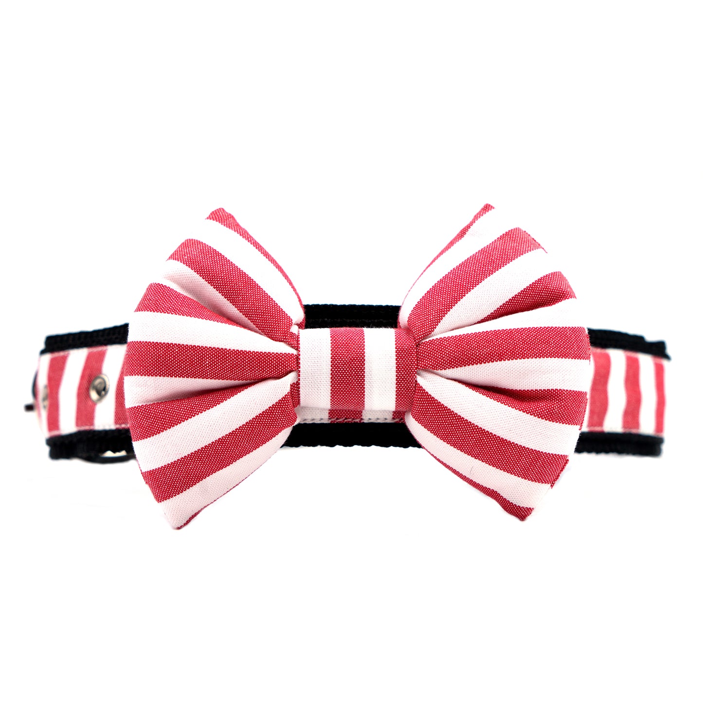 Red Stripe Bow Collar