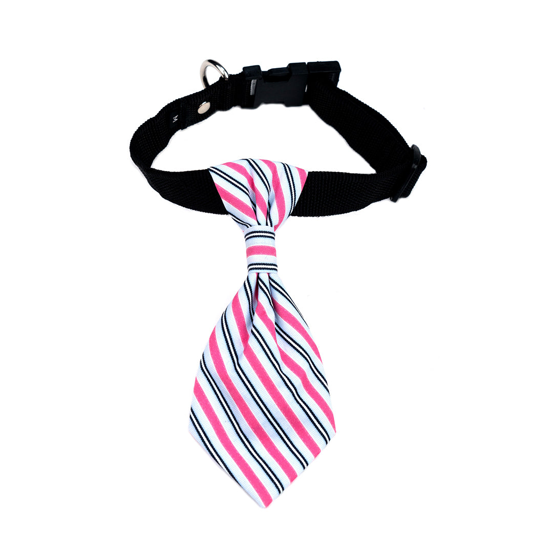 Sugar Stripe Neck Tie Collar