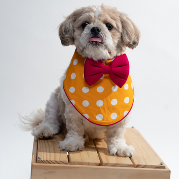 Yellow Polkadot Bandana