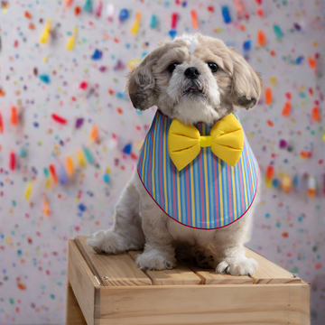 Multicolor Stripe Bandana