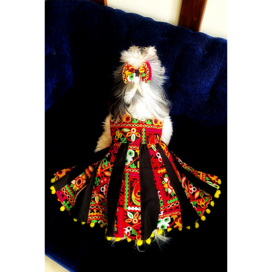Embroidered Anarkali dress